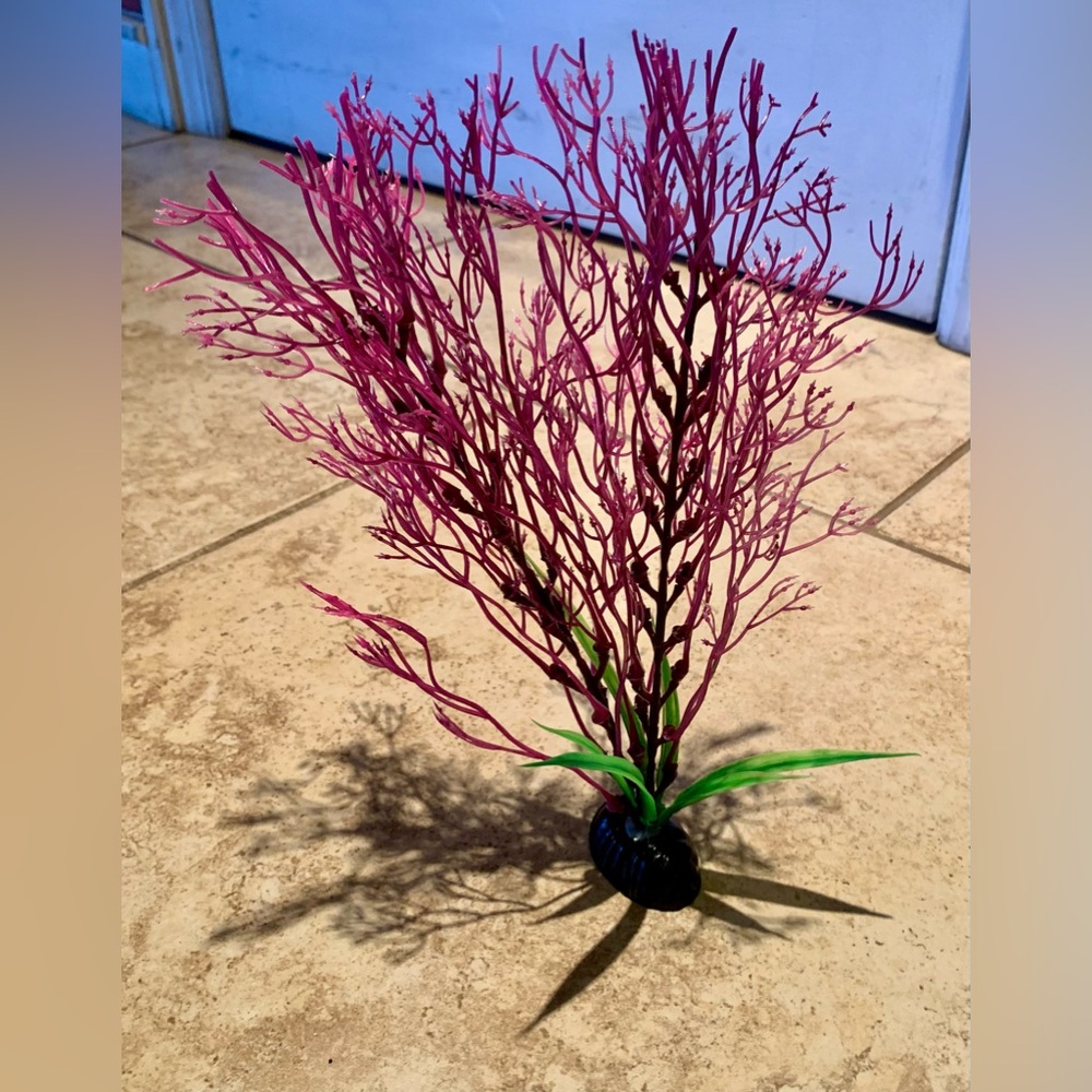 Top Fin Coral Aquarium Plant